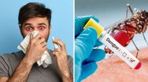 Viral Infection vs. Dengue: How Are The Symptoms Different?