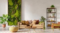 Elevate Your Home: 10 Biophilic Design Tips for A Nature-Inspired Living Experience