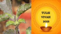 Tulsi Vivah 2023: Greetings, Wishes, Images, Texts, WhatsApp And FB Status