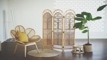 Why Cane Furniture Is So Popular Now, 6 Valid Reasons To Include Sustainable Pieces In Your Home
