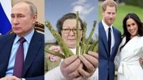 Asparagus Throwing Fortune Teller Predicts 2024 Will Witness A Royal Divorce, A Female US President And More