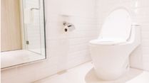 Do You Know Who Invented The Flush Toilet? Know The Brief History