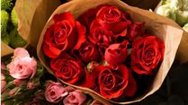 Rose Day 2024: From Rose Oil In Space To Rose Fossil, 10 Fascinating Facts About Roses We Bet You Didn't Know