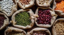 World Pulses Day 2024: Know Date, Theme, Types of Pulses and Their Nutritional Benefits