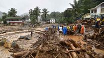 Stand With Kerala: How You Can Help Wayanad Landslide Victims, Check Here Helpline Numbers Issued By Govt