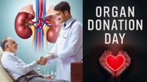 World Organ Donation Day 2024: Step-by-Step Guide To Donate A Kidney And Make a Life-Changing Impact