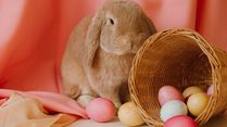 Easter 2025 : Hopping Into The History Behind The Easter Bunny And Eggs You Didn’t Know About