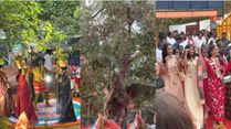 This 700-Year-Old Banyan Tree Has Become Unexpected Highlight Of Miss World 2025