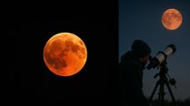 Crowds Turn To See The Moon Turn Red, Final Blood Moon Of 2025 To Dazzle Bengaluru Skies This Weekend