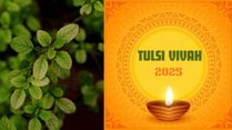 Happy Tulsi Vivah 2025 Wishes: Top 50 Greetings, Messages, Images, Texts, Instagram, X And WhatsApp Posts
