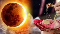 Margashirsha Amavasya 2025: Key Rituals, Auspicious Timings And What Makes This Day Spiritually Significant