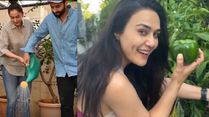 From Red Carpets To Green Fields: These 7 Bollywood Celebrities Swapped City Chaos For Farming Bliss