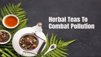 Fight Pollution With Diet: 8 Herbal Teas You Should Sip To Combat The Side Effects