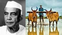 Kisan Diwas 2025: The Story Behind National Farmers Day, Know Key Government Schemes This Year
