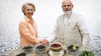 India-EU Trade Deal: Why Is Darjeeling Tea Called The 'Champagne Of Teas'? What Makes It Special?