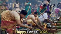 Happy Pongal 2026 Wishes: 50+ Heartwarming Messages, Status And Posts For WhatsApp, Insta, Facebook And X
