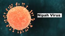 When a Fever Is a Warning Sign: Why the Nipah Virus Needs Attention
