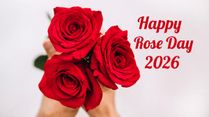 Rose Day 2026: Why We Celebrate It And How Different Roses Reveal Your Emotions