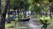 IMD Says Monsoon May Hit Kerala by May 26 — Here's What You Need to Know