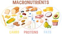 PCOS, Thyroid, Insulin Resistance: Expert Answers Is Macronutrient Imbalance the Real Culprit?