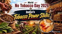 World No Tobacco Day 2026: State-Wise Data Reveals The States Driving India’s Tobacco Production