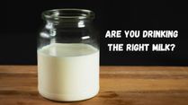 World Milk Day 2026: How to Choose the Right Milk for Your Health Goals