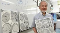 Who is Yoshinori Ohsumi? The Scientist Behind the Discovery That Could Rewrite How We Age