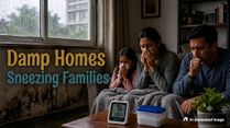 Damp Homes And Monsoon Moisture: How To Manage Indoor Humidity Risks