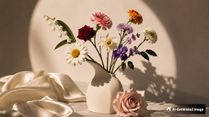 Birth Flower by Month: Meanings, Symbolism, and Origins