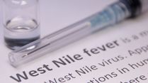West Nile Fever Alert In Kerala: Causes, Symptoms, Treatment, And Prevention Guide