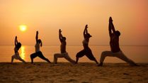 How Yoga Became a Global Movement: The Eight Principles Behind the Practice