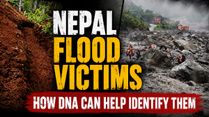 Nepal Flash Floods: Unidentified Victims To Be Buried, How DNA Records Can Help Families Identify Them Later