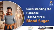 How Does Insulin Work? Understanding The Hormone That Controls Blood Sugar