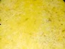 రంజాన్ స్పెషల్ కద్దూ కా ఖీర్‌