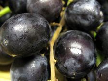 మధుమేహాన్ని పారద్రోలేందుకు ద్రాక్ష తినండి!