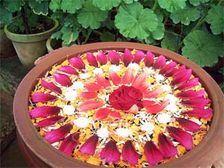 పండుగ అలంకరణలుగా ముచ్చటైన ప్రత్యామ్నాయ ముగ్గులు!