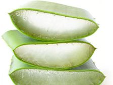 ‘కలబంద’తో లాభమేంటి..?