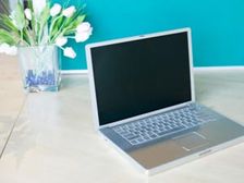 ఆఫీసు గదిలో గార్డెన్ ఏర్పాటు!