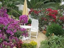 అపార్టుమెంటుల్లో గార్డెన్ పెంపకం! 