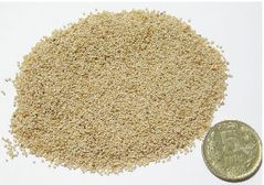 చుండ్రు మాయం కొద్ది గంటల్లోనే..?