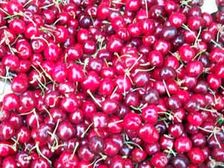 గాఢ నిద్ర... ప్రతి రాత్రి పట్టాలంటే... !