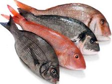 చేప ఆహారంతో డయాబెటీస్ కు చెక్!