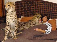 అదృష్టాన్ని అందించే జంతుసంపద.... !