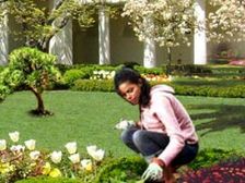 గార్డెన్ లోని పచ్చటి లాన్ ఎండిపోతుంటే? 