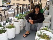 అపార్టుమెంటులో కూరల పెంపకం!