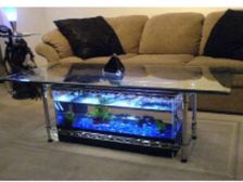  అక్వేరియం అందాలు ఆనందించండి!