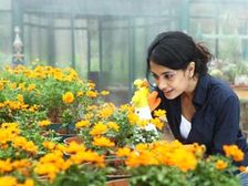 పురుషులు ఇంటి అలంకరణ, తోటపని చేస్తే!