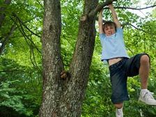 లోపించిన పిల్లల ఆట పాటలు!