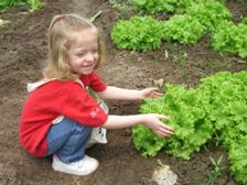  ఇంటికి పచ్చదనం - మనసుకు ఆహ్లాదం!