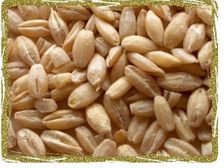 అధిక బరువు అరికట్టే మేజిక్ ఫుడ్! 